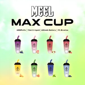 meel 拋棄式電子煙