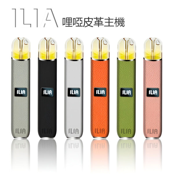 哩亞主機