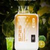 SP2S GEM 9000 PUFFS 拋棄式電子煙 一次性霧化桿推薦