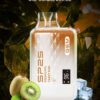 SP2S GEM 9000 PUFFS 拋棄式電子煙 一次性霧化桿推薦