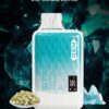 SP2S GEM 9000 PUFFS 拋棄式電子煙 一次性霧化桿推薦