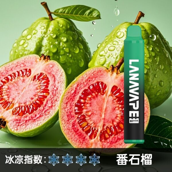 LANA 8000 PUFFS 拋棄式一次性電子煙 台灣電子煙推薦