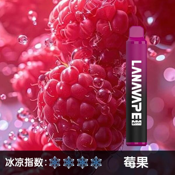 LANA 8000 PUFFS 拋棄式一次性電子煙 台灣電子煙推薦